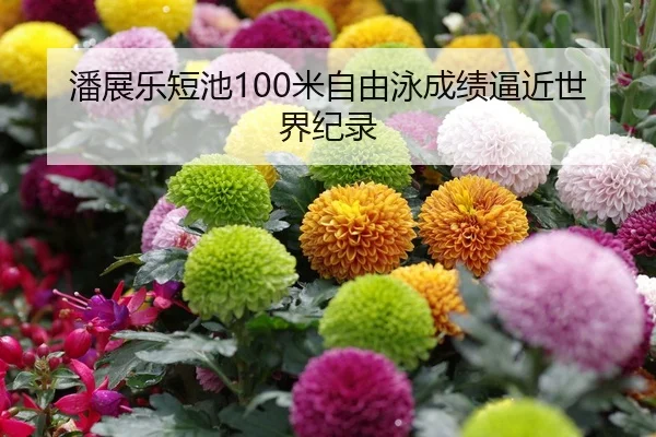 潘展乐短池100米自由泳成绩逼近世界纪录