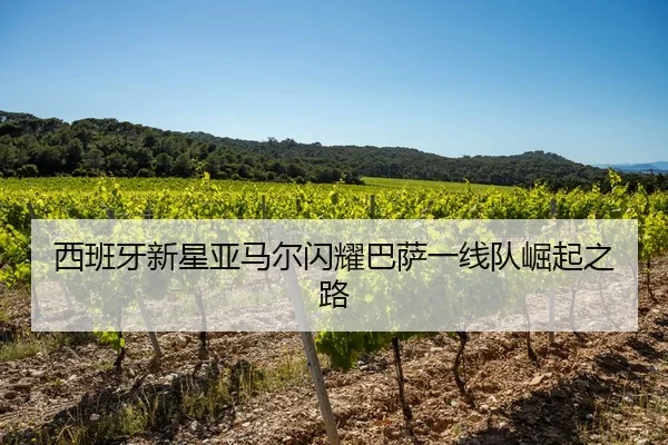 西班牙新星亚马尔闪耀巴萨一线队崛起之路