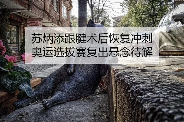 苏炳添跟腱术后恢复冲刺 奥运选拔赛复出悬念待解