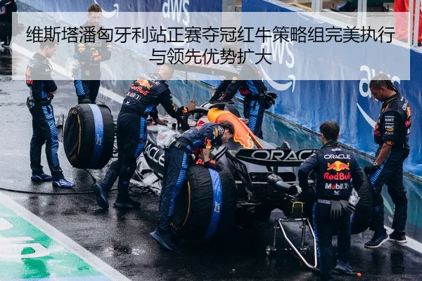 维斯塔潘匈牙利站正赛夺冠红牛策略组完美执行与领先优势扩大