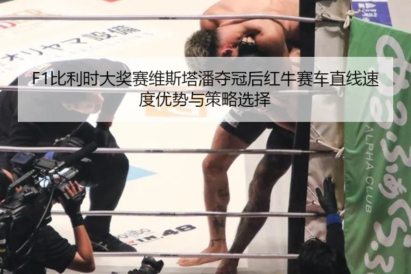 F1比利时大奖赛维斯塔潘夺冠后红牛赛车直线速度优势与策略选择